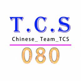 [TCS-VTC]*080*jiangchen
