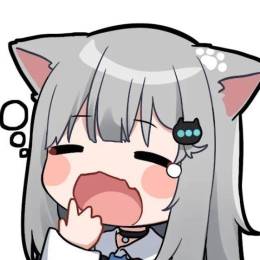 猫猫～～