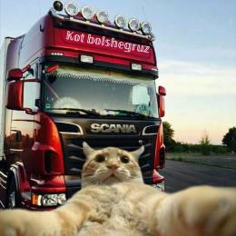 Kot bolshegruz ukraine