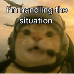 UsualHook147