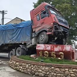 忘崽牛奶