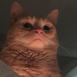 Ghost Exp.BrowningX94