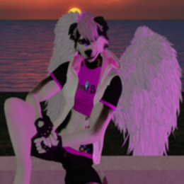 Shadow Akita's avatar