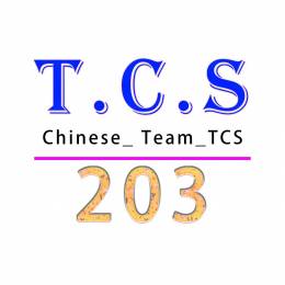 [TCS-VTC]*203*包纸