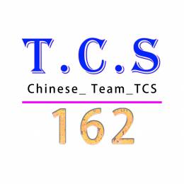 [TCS-VTC]*162*YeBai