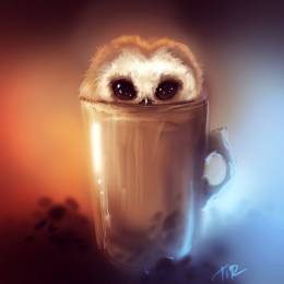 Ilya_ha