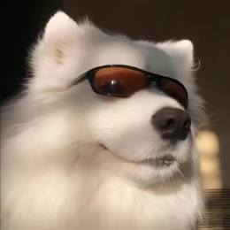 XY 林北