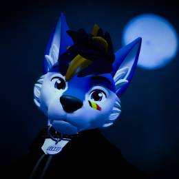 flarehusky1