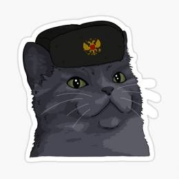 novgaSlav