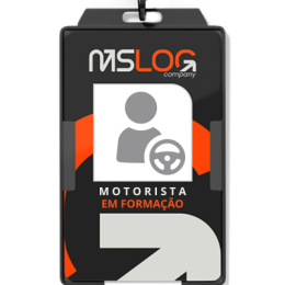 MSLOG I yflavio_BA