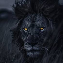 salvosantoc4n's avatar