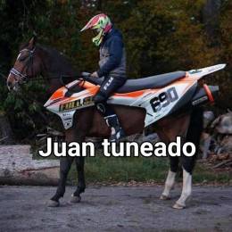 User