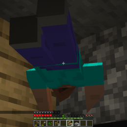 User