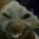 Teoooo
