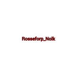 Professor_Nolk