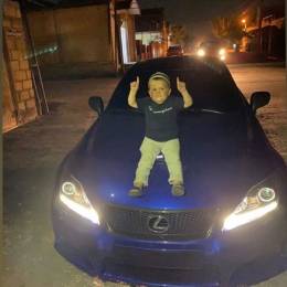 User