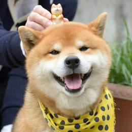 Женя_Конаково's avatar