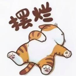 TMP-摆烂瑞