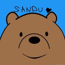Sandu28