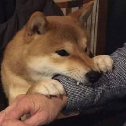 SFTNK