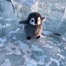 JackoobNZ