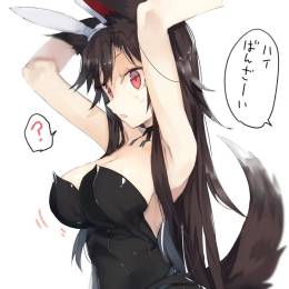 China XD 194 ChuXin