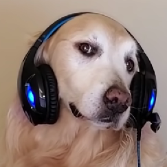 Girgunta001's avatar