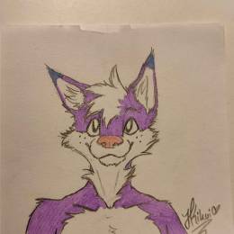 .'Fox'.'s avatar