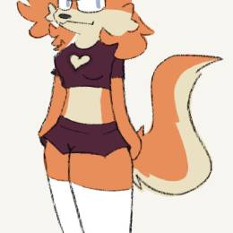 Link_theFox