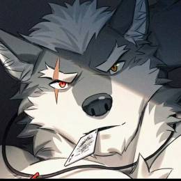 小墨是个福瑞控