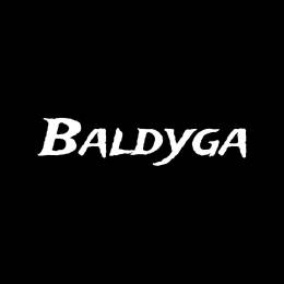 serghei_baldyga