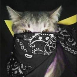 RAFIZ666