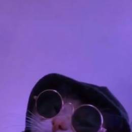 Thenison(BR)'s avatar