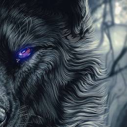 Wolfi107