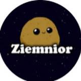 ziemnior28