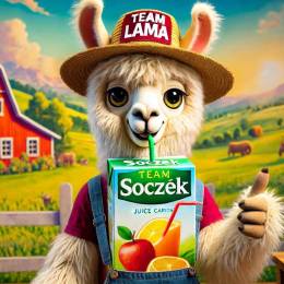 81Soczek