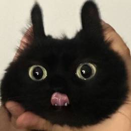 Morr4