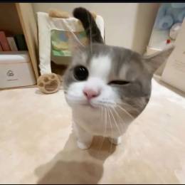 davidname662's avatar