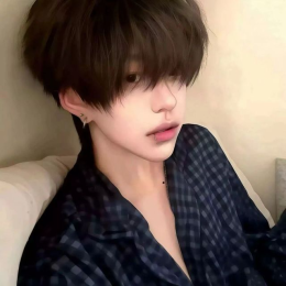 DY-Bo lin