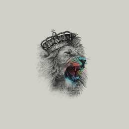 RJ_01