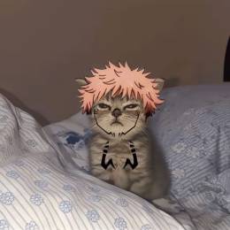 under._.spice
