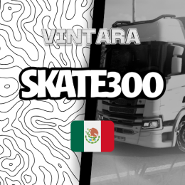 SKATE300