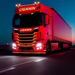 User