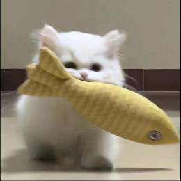 Aurora丶's avatar
