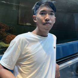 User