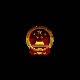 China*DS-莫无
