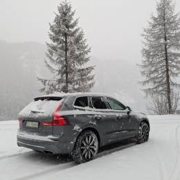 S N Ø W F A L L*'s avatar