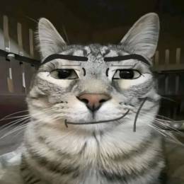 Agent_Obi wan's avatar