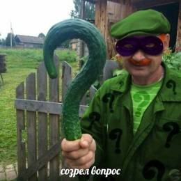 -[Ёж-3]-