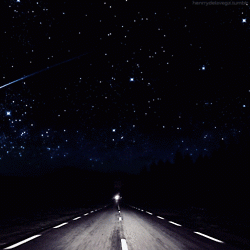 SkyDiscovery